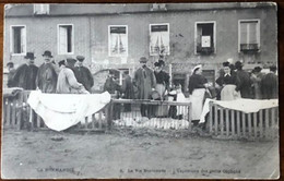 La Vie Normande L'exposition Des Petits Cochons  Marché à Vire  ( Identifié Dos De La Carte) - Vire