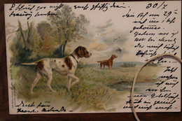 CPA Ak 1901 Litho Jäger Hund Chien Chasse Braque Pointer Jagd Chasseur - Chasse