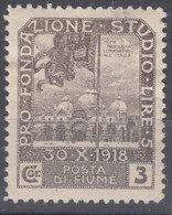 Italy Occupation During WWI Fiume 1919 Plebiscite Fondazione Studio Sassone#71 Mi#59 Mint Hinged - Fiume