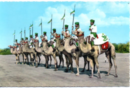 YEMEN  ADEN  FEDERAL REGULAR ARMY CAMEL TROUP - Yemen