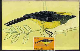 Nagaland 1969 Sultan Tit - Original Hand-painted Artwork As Used For 1.25ch (except Branch Outline Has Been Changed) On - Local Issues