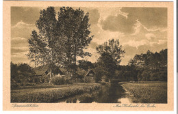 Spreewaldbilder - Am Hochwald Bei Eiche  V. 1913 (45501) - Burg (Spreewald)