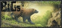 2020 Big 5 Van Europa - Used Stamps