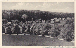 AK Ostseebad Scharbeutz - Hohenbuchen - Ca. 1930 (57535) - Scharbeutz