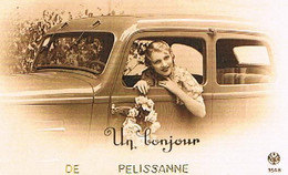 13  UN BONJOUR    DE   PELISSANNE  CPM  TBE   1050 - Pelissanne