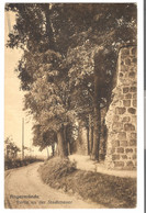 Angermünde - Partie An Der Stadtmauer V. 1909 (45519) - Angermuende