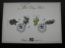 België Belgium 2000 - FDS First Day Sheet WWF Amphibians And Reptiles (viper, Lizard, Tree Frog, Salamander) - Storia Postale