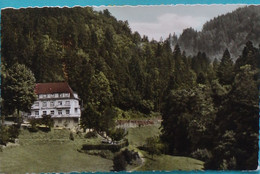 Allemagne CPSM Hotel Wasserfall Liebachtal Bei Oppenau Im Schwartzwald 1963 - Oppenau