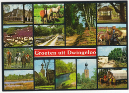 Groeten Uit Dwingeloo - (Drenthe, Nederland) - Nr. L 7873 - Dwingeloo