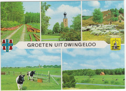 Groeten Uit Dwingeloo - (Drenthe, Nederland) - Nr. L 374 - Dwingeloo