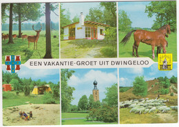 Een Vakantie-Groet Uit Dwingeloo - (Drenthe, Nederland) - Nr. L 373 - Dwingeloo