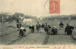 Croissy * La Culture Maraîchère * Agriculture Agricole * Maraîchage - Croissy-sur-Seine