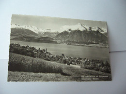 HILTERFINGEN AM THUNERSEE  SUISSE VD VAUD BLUMFISALP NIESEN CPSM FORMAT CPA 1965 - Hilterfingen