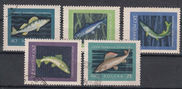 Poland 1958 Fish Mi#1051-1055 Used - Used Stamps