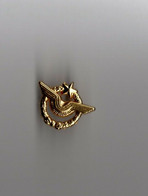 Pin's Armée / Insigne Brevet Pilote Avions (version Signée Pichard) - Militaria