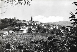 9-TIZZANO V.P.-MT.820-PANORAMA - Parma