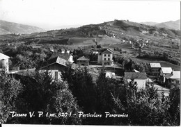 9-TIZZANO V.P.-(M.820)-PARTICOLARE PANORAMICO - Parma