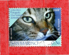 S.Marino ° 2009 - Fotografa Il Tuo Animale Domestico. Unif. 2255.  Usato. - Used Stamps