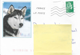 Lettre   Sur Timbre Autoadhésif  N° 1601   Avec Une Photo De " Husky  -   Daté Du 27 - 07 - 2021 - Storia Postale