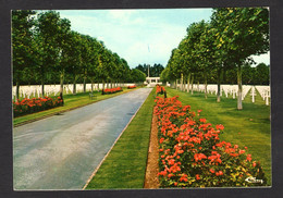 SERINGES-et-NESLES (02 Aisne) Cimetière Américain ( Cim, Combier N° E 02713.062.0261) - Cimetières Militaires