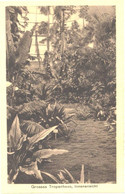 Germany:Berlin, Dahlem Royal Botanic Garden, Great Tropic House, Pre 1940 - Steglitz