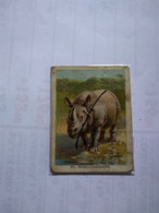 Chile.rhino.cig Card.no Postcard Rare Yungay Brand.1915.animal Series.better Cond.thick Paper 5*6.5 Cmt.. - Neushoorn