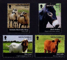 Black Donkey, Barbado Black Belly Sheep, Boer Goat, Montserrat 2011 MNH 4v - Ezels