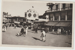 Nord : MALO  Les  BAINS  :  La  Digue , Le  Casino - Malo Les Bains