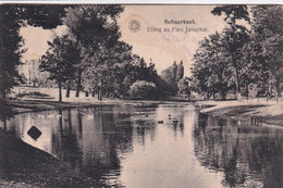 SCHAARBEEK  ETANG AU PARC JOSAPHAT - Schaerbeek - Schaarbeek