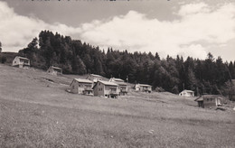 Delcampe - La Roche - Montsoflo, Colonie De Vacances - La Roche