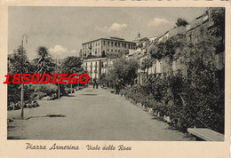 Delcampe - PIAZZA ARMERIA - VIALE DELLE ROSE  F/GRANDE VIAGGIATA 1933  ANIMATA - Enna