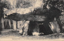 21-8756 : METTRAY LE DOLMEN - Mettray