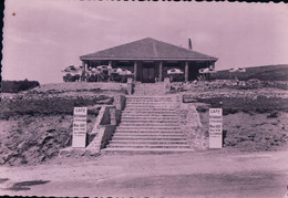 LA TERRASSE Du BEAUJOLAIS Au Fut D'Avenas Commune De Chiroubles (1957) - Chiroubles