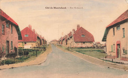 Cité De MOORTEBEEK - Rue Ronsard - Carte Colorée - Neerpelt