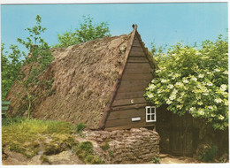 Schoonoord - Plaggenhut - Openluchtmuseum Schoonoord 'De Zeven Marken' - (Dr., Nederland) - Coevorden