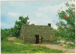 Schoonoord - Plaggenhut, Vlier - Openluchtmuseum Schoonoord 'De Zeven Marken' - (Dr., Nederland) - Coevorden