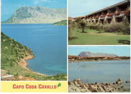 CAPO CODA CAVALLO  (OLBIA) - Panorama - Olbia