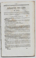 Bulletin Des Lois 1315 1846 Brevets D'invention/Magistrats Guyane Et Ile Bourbon (Réunion)/Franchises/Premier Avocat - Décrets & Lois