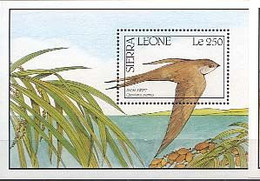 MDB-BK2-091 MINT ¤ SIERRA LEONE 1990 BLOCK ¤ OISEAUX - BIRDS - PAJAROS - VOGELS - VÖGEL - - Zwaluwen