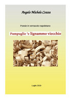 Poesie In Vernacolo - Pampuglie ’e Lignammo Viecchio Di Angelo Michele Cozza,  2 - Poetry