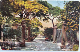 C. P. A. : MALTA : Maglis Gardens Ploriana, En 1947 - Malta