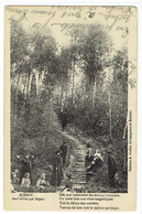 ROISIN -  Au Caillou - Griffe - Langstempel ROISIN-AUTREPPE - 1905 - Honnelles