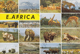 CARTOLINA  MOMBASA,KENIA,EAST AFRICA,VIAGGIATA 1973 - Kenya
