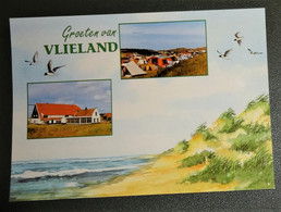 Nederland - Vlieland - Uitgeverij Van Der Meulen Te Sneek - Kaders: Camping - Natuurmuseum - Vlieland