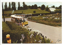 TRAIN TOURISTIQUE, Transport Des Visiteurs - Parc Floral PARIS (bois De Vincennes) - Fleurs, Iris - Treni
