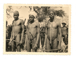 Ref 570 : Photo Originale Afrique Homme Nu Etui Pennien Penien Probablement Dahomey 9 X 12 Cm - Africa