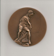 Ref KDK : Médaille En Bronze 60 Mm Mérite Fédéral Piscicole Dordogne Peche Pecheur - Professionnels / De Société