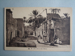 Biskra - Une Rue De Vieux Biskra - Biskra