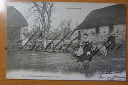 Laitiére à Ans  N°20 Basse-Normandie La Vie Normande-1903 D14 - Donkeys