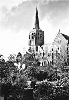 Rusthuis St. Jozef - De Kerk En Tuin Rusthuis @ Sint-Pieters-Lille Lille - Lille